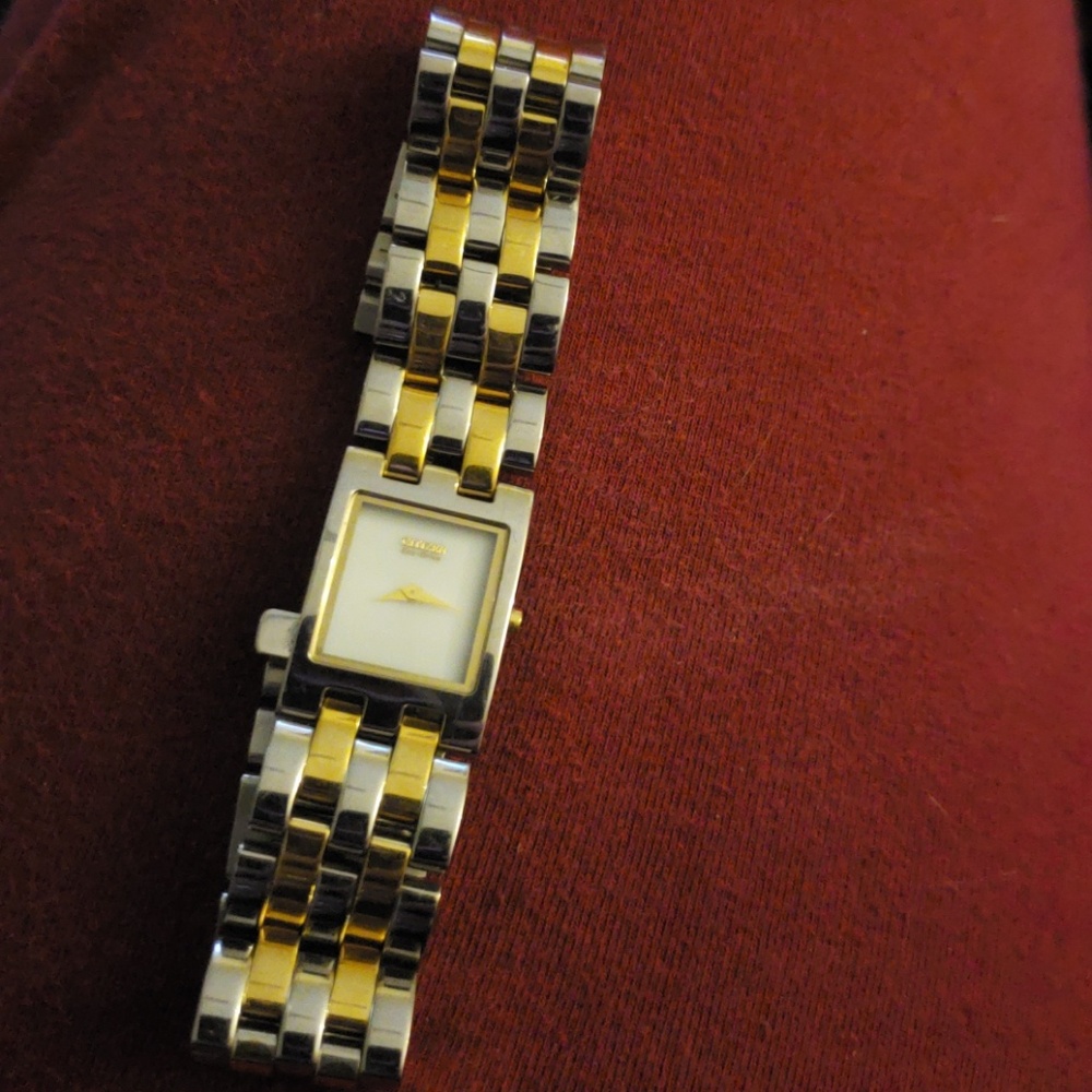 Citizen Eco Drive